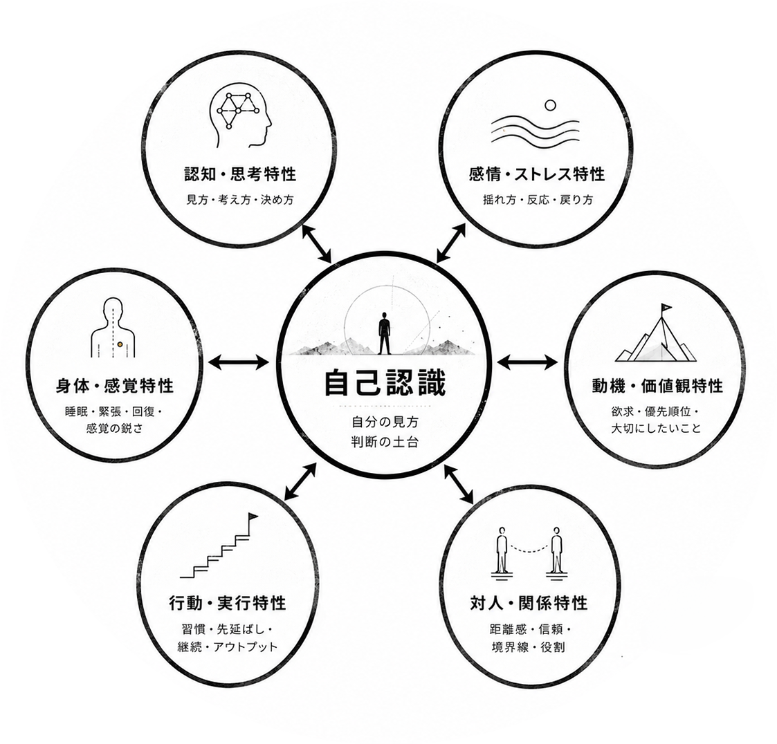 自己認識を形づくる6つの特性（認知・思考／感情・ストレス／身体・感覚／動機・価値観／対人・関係／行動・実行）の関係図